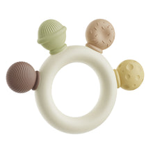 Molar Chew Toy