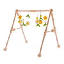 Baby Gym Rack