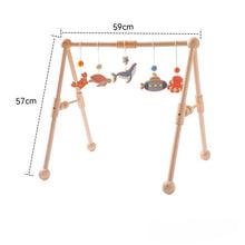 Baby Gym Rack